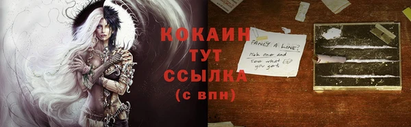 гидропоника Бородино