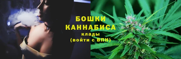 гидропоника Бородино