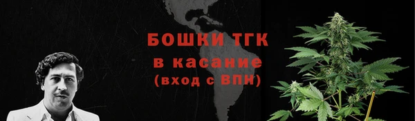 круглые Бронницы