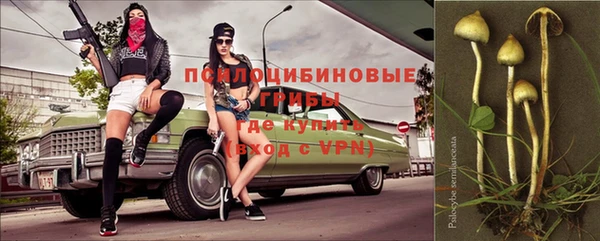 круглые Бронницы