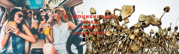 круглые Бронницы